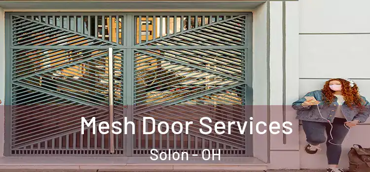 Mesh Door Services Solon - OH