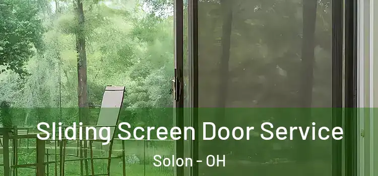 Sliding Screen Door Service Solon - OH